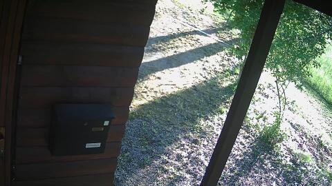 920-20260430070843-12.jpg
