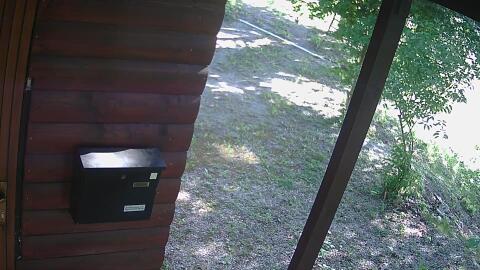 110-20260523091252-00.jpg