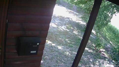 272-20260528120844-02.jpg