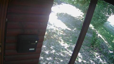 354-20260529135409-35.jpg