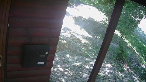 355-20260529140249-46.jpg