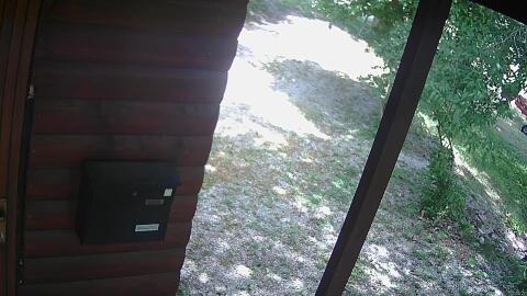 386-20260530135442-38.jpg
