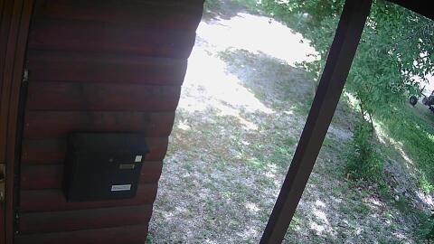 387-20260530135844-40.jpg
