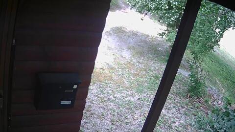 448-20260601131916-09.jpg