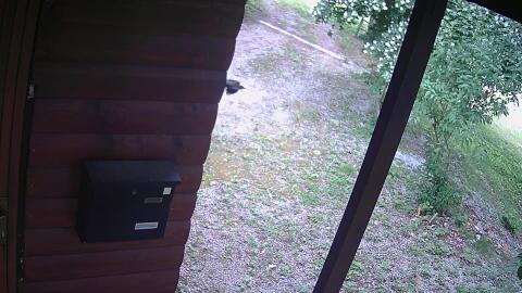 505-20260605112226-25.jpg