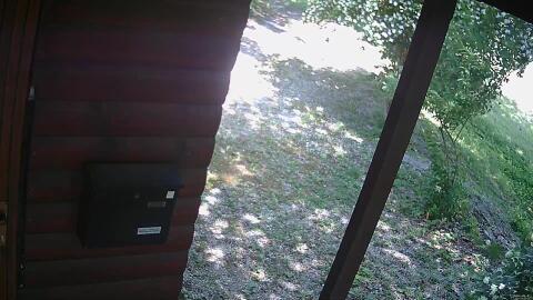 539-20260607141621-25.jpg