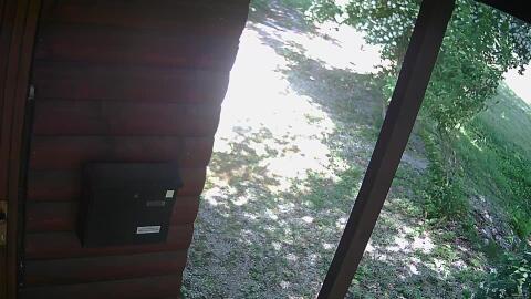 541-20260607145324-10.jpg