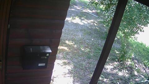 556-20260608102530-00.jpg