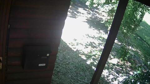 768-20260611155233-13.jpg