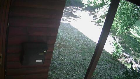 778-20260611171741-00.jpg