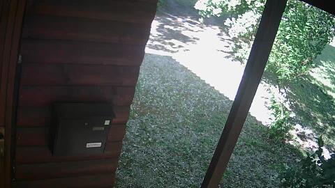 780-20260611172241-04.jpg