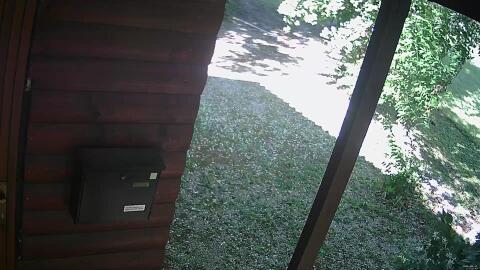783-20260611173149-16.jpg