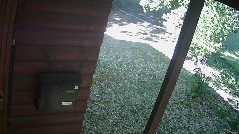 785-20260611175636-15.jpg