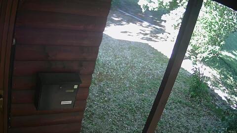 785-20260611175638-17.jpg