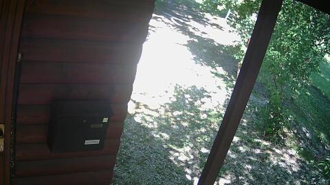803-20260612150903-06.jpg
