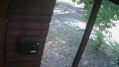 831-20260614090458-18.jpg