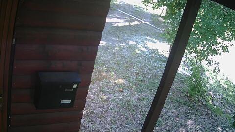 832-20260614091359-49.jpg