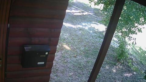 836-20260614092630-44.jpg