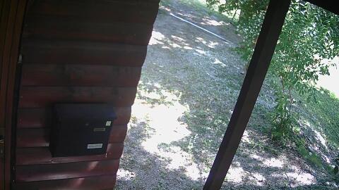 850-20260614110124-00.jpg