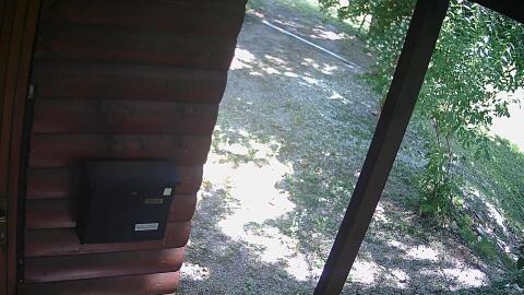 850-20260614110128-00.jpg