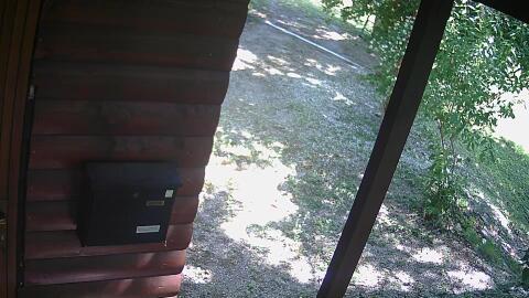 850-20260614110130-00.jpg