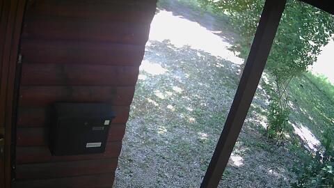 910-20260616123446-41.jpg