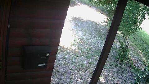 915-20260616132128-15.jpg