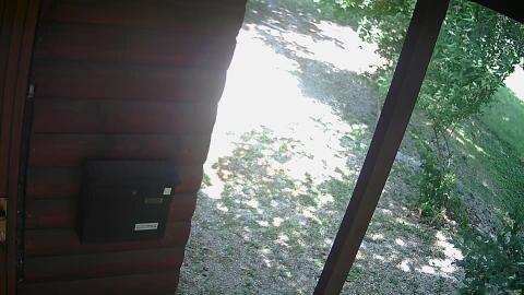 975-20260618150101-15.jpg