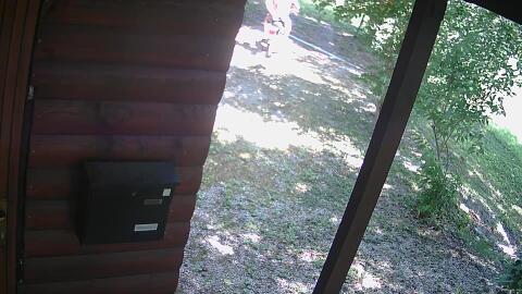 03-20260621115741-40.jpg