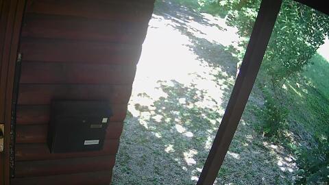 58-20260626151555-51.jpg