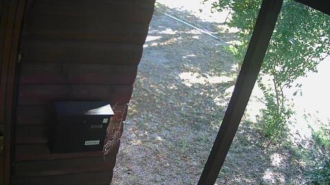 39-20260704084220-14.jpg