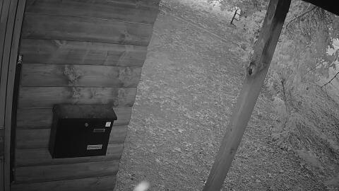 121-20260710205135-22.jpg