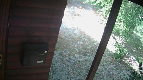 116-20260715172647-00.jpg