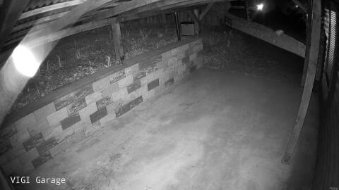 4569-20260318225155-18.jpg