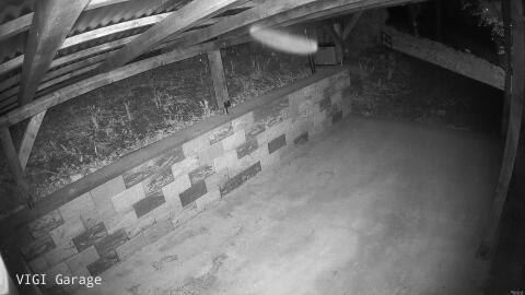 1619-20260416025846-34.jpg