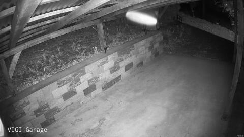 1619-20260416025928-31.jpg