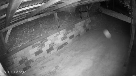 1842-20260418044644-14.jpg
