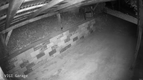 1938-20260419045747-12.jpg