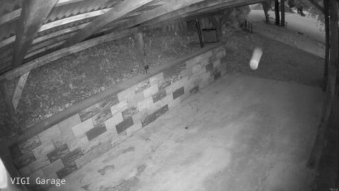 1949-20260419201134-14.jpg