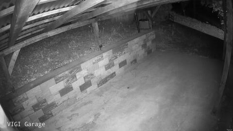 1955-20260419204034-10.jpg