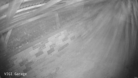 2061-20260421030628-29.jpg