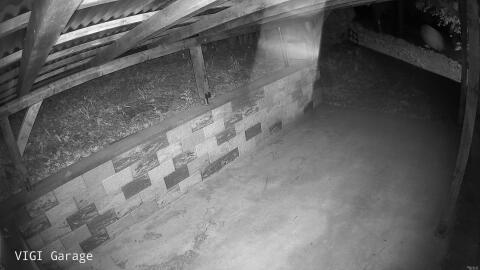 2119-20260423003538-09.jpg