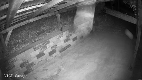 2132-20260423020458-07.jpg