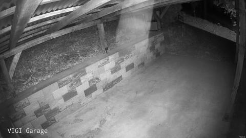 2135-20260423041248-00.jpg