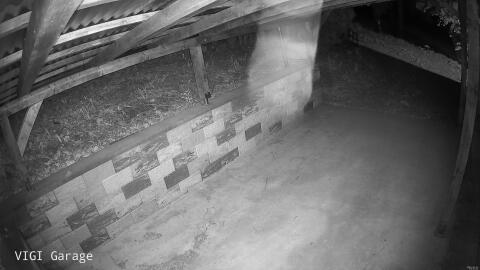 2135-20260423044232-07.jpg