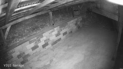2136-20260423051956-04.jpg