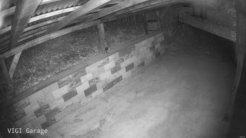 2136-20260423051957-09.jpg