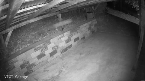 2193-20260423223935-39.jpg