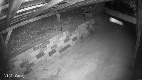 2239-20260424010539-47.jpg