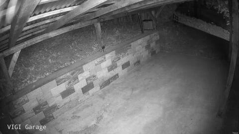 2335-20260424205038-22.jpg